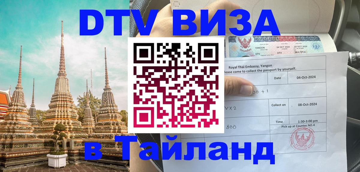 Сколько стоит DTV виза — актуальные цены, оформление даже без документов - 18.11.2025 